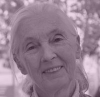 Jane Goodall
